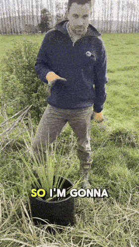 Garto Tree Protectors | Weed Suppression Tree Guards – Garto Future